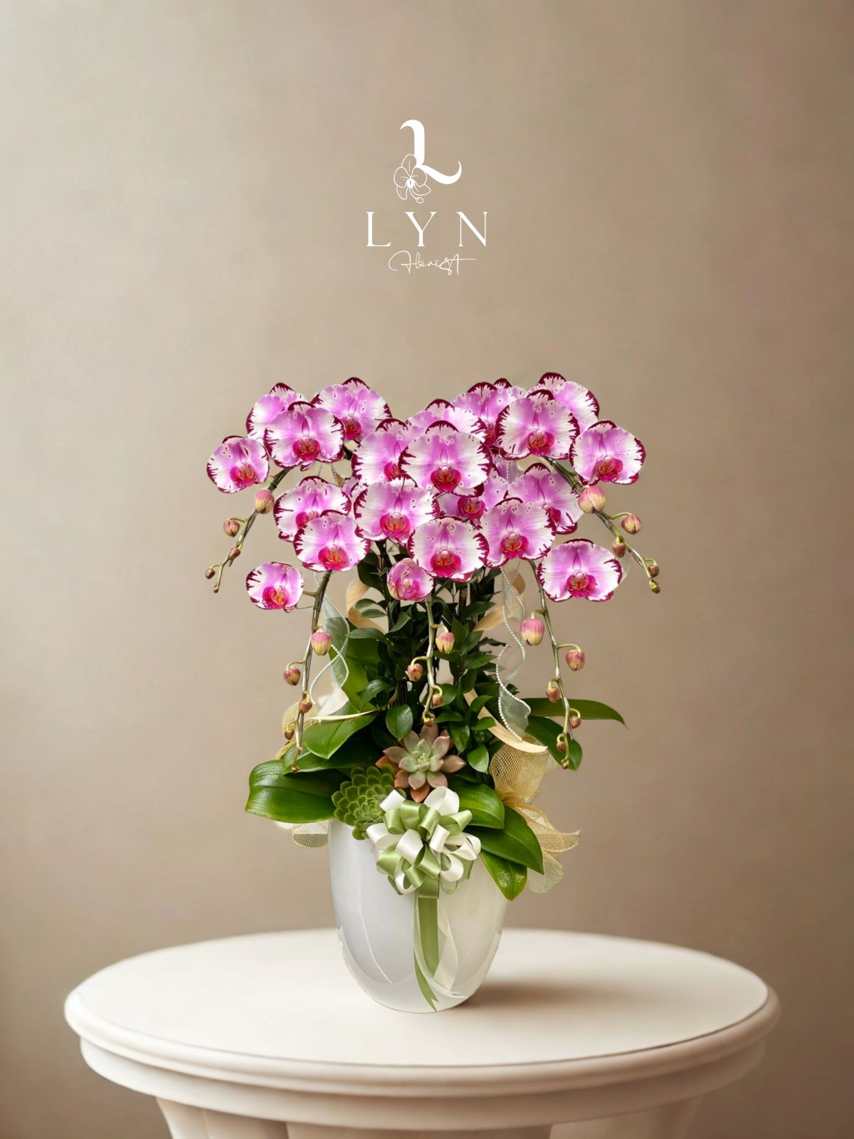 Chậu Hoa Lan Hồng 1070s